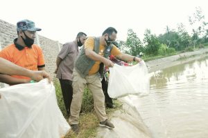 Ribuan Ikan Jelabat Impor dari Jambi Ditabur di Pringsewu