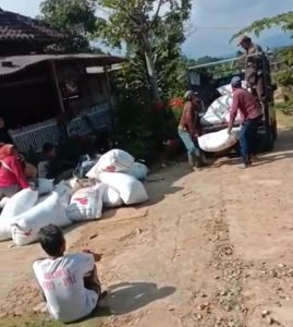 Tega, Bunga Hutang Belum Lunas, Rentenir Rampas Hasil Panen Petani