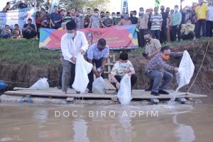 Budidayakan Ikan Air Tawar, Arinal Tebar Bibit Ikan di Sungai Tiuh Negara Batin