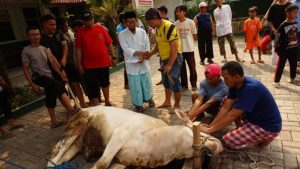 Panduan Sholat Idul Adha dan Penyembelihan Hewan Kurban Saat Pandemi