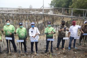 KKP Kembali Menanam Bibit Mangrove di Karawang Dengan Cara Unik