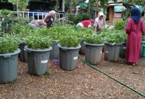 Sistem Budikdamber Sarana Pemberdayaan dan Ketahanan Gizi Masyarakat