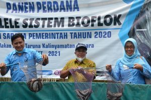 KKP Pacu Produksi Nasional Melalui Sistem Bioflok