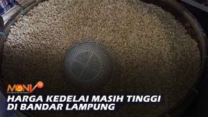 Harga Kedelai di Bandarlampung Masih Tinggi