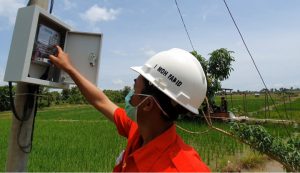 PLN Kucurkan Rp 8 Miliar untuk Distribusikan Listrik ke 6 Desa di Lampung