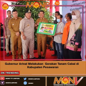 Gubernur Arinal Melakukan Gerakan Tanam Cabai di Kabupaten Pesawaran