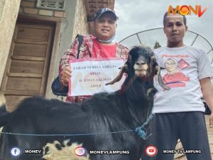 Farah Nuriza Amalia Sumbang Kambing dan Sapi Tuk Komunitas dan Pengajian