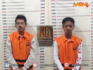 Mencuri Ratusan Butir Telur, Ditangkap Polisi