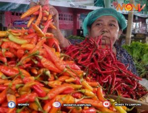 Harga dan Stok Bahan Pokok di Metro Aman, Inflasi Turun