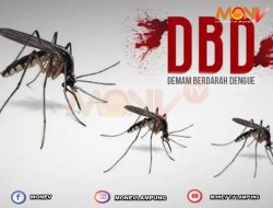 DBD di Lampung Capai 1.779 Kasus Pada 2024