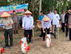 Pemerintah Pesawaran Tanam Seribu Hektar Kedelai, Terbesar di Lampung